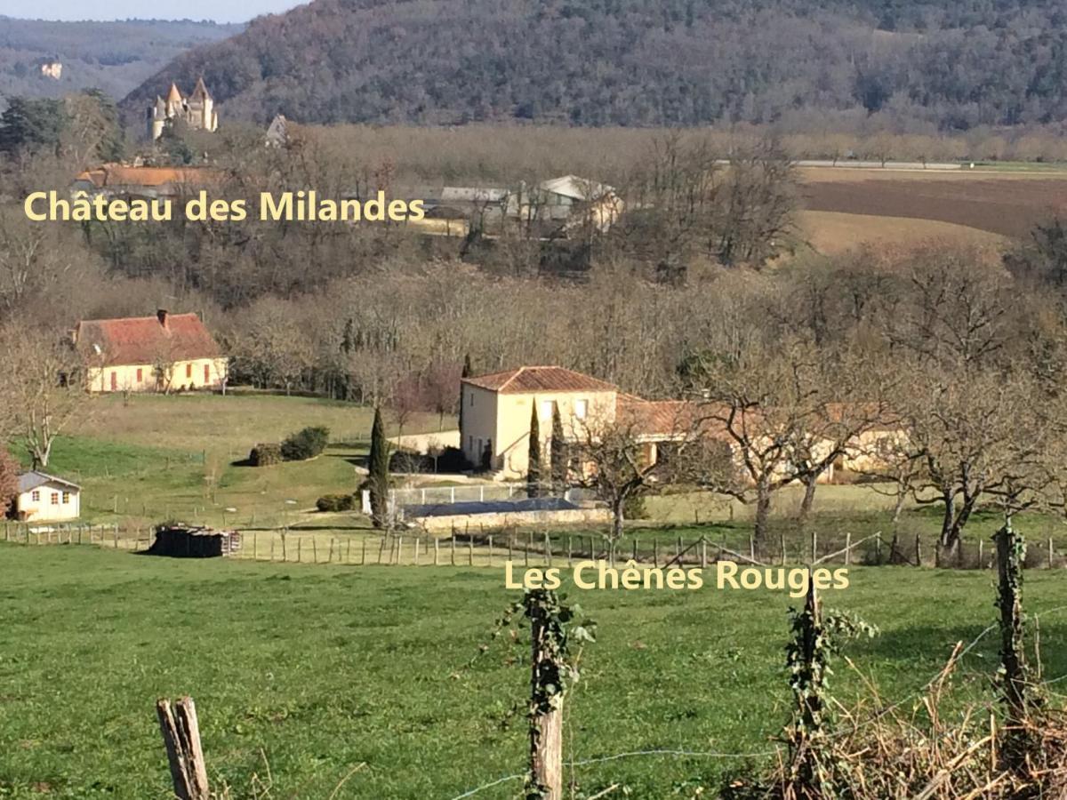 Les Chenes Rouges Bed & Breakfast Veyrines-de-Domme ภายนอก รูปภาพ